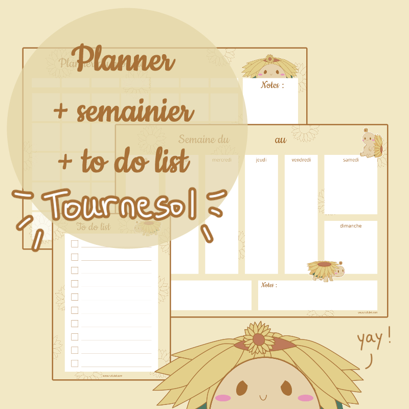 PACK PDF 3 templates : planner, semainier & to do list - Tortue
